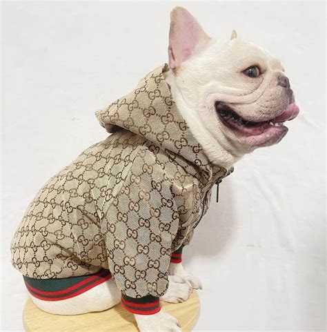 gucci pet sweater|designer dog coats gucci.